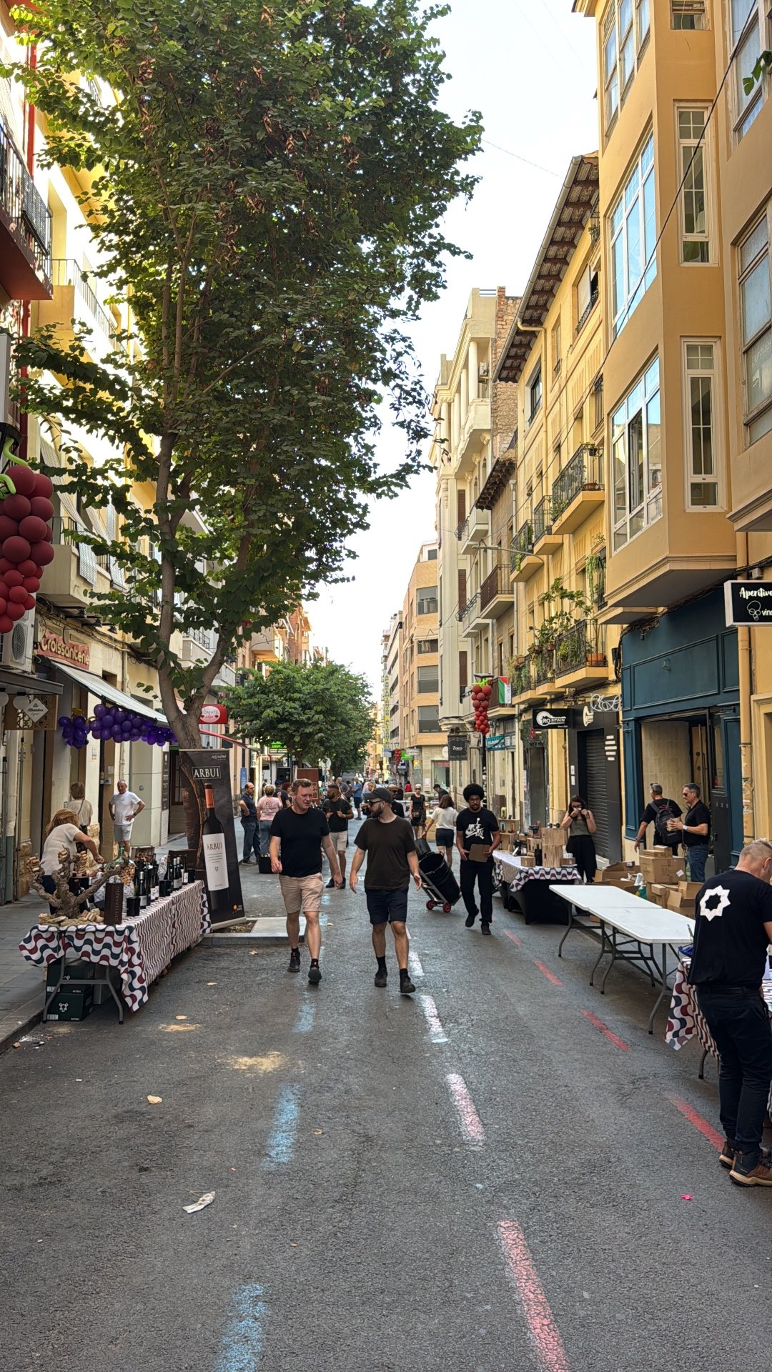 Lively pedestrian street in Alicante with local market stalls